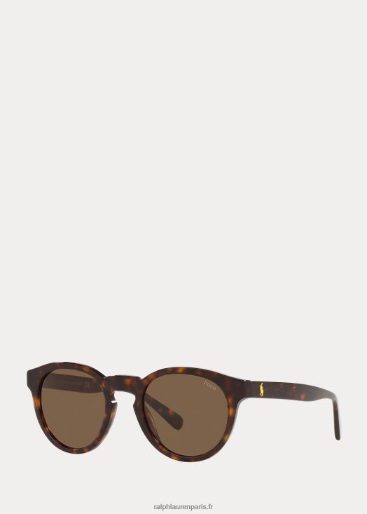 lunettes de soleil panto color shop 46T60T2623 Hommes Ralph Lauren havane foncé brillant