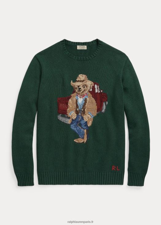 pull en coton polo ours 46T60T1650 Hommes Ralph Lauren nouvelle bruyère forestière