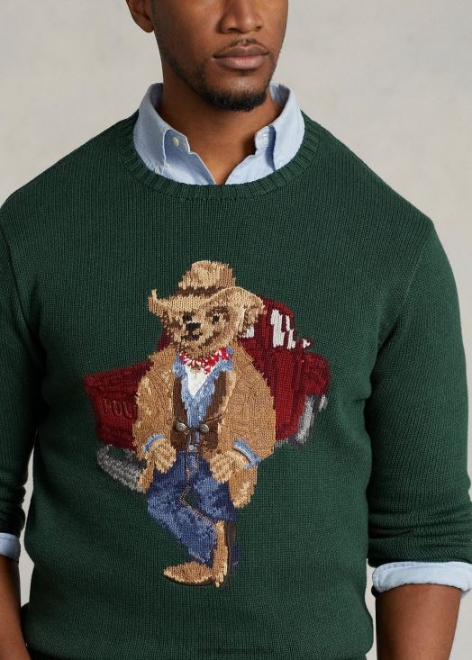 pull en coton polo ours 46T60T1650 Hommes Ralph Lauren nouvelle bruyère forestière