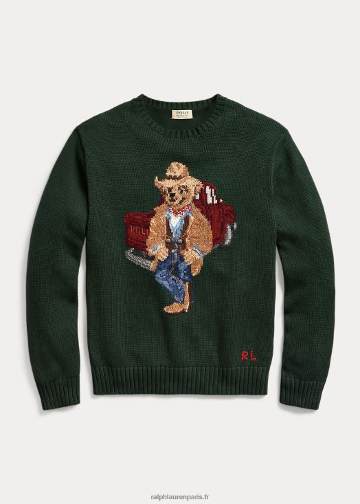 pull en coton polo ours 46T60T8498 Hommes Ralph Lauren nouvelle bruyère forestière