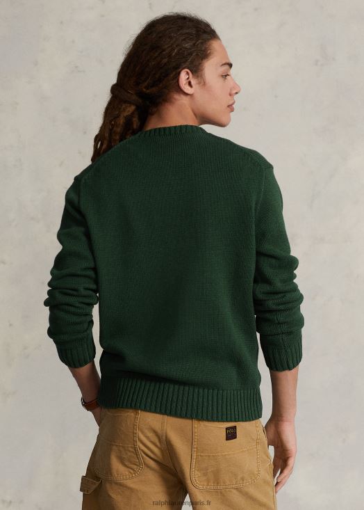 pull en coton polo ours 46T60T8498 Hommes Ralph Lauren nouvelle bruyère forestière